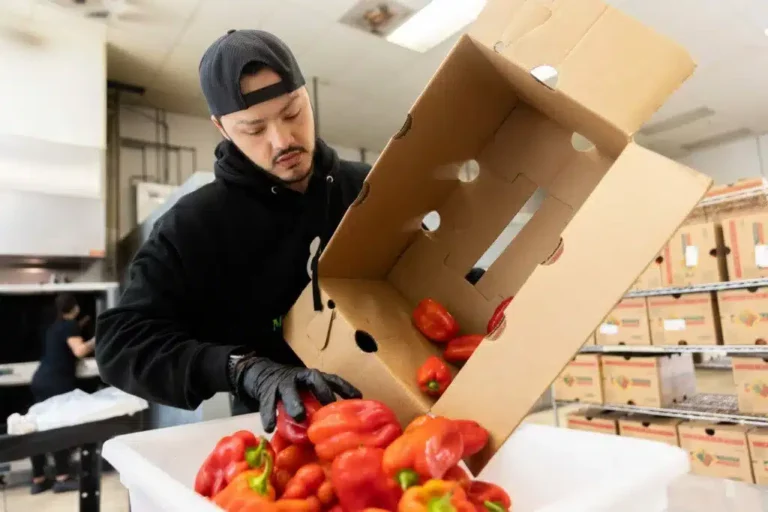 Purchasing team selecting high-quality ingredients for weekly meal prep menus