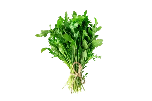 Arugula