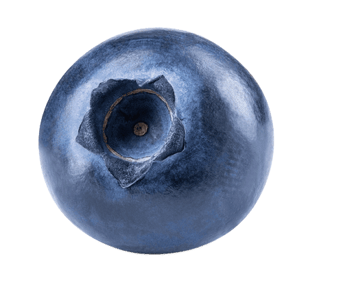 Blueberries