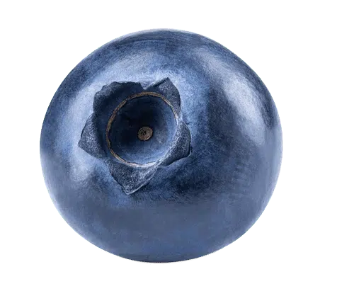 Blueberries