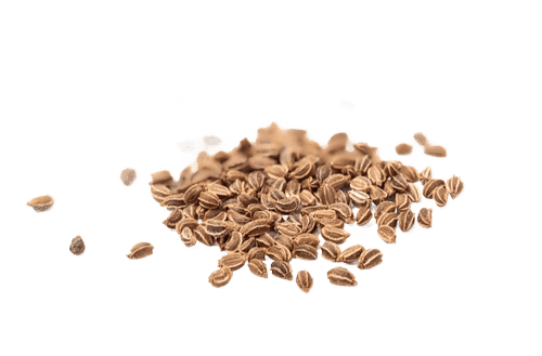 Celery Seeds