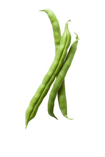 Haricot Verts