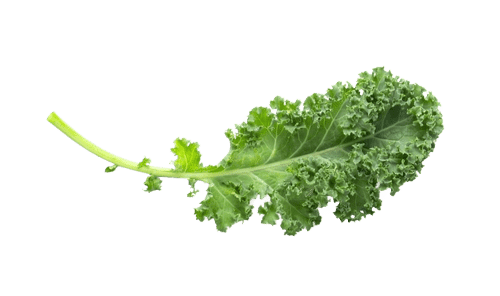 Kale