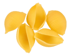 Shell Pasta