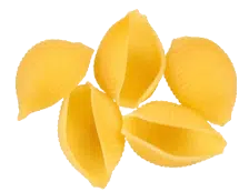 Shell Pasta