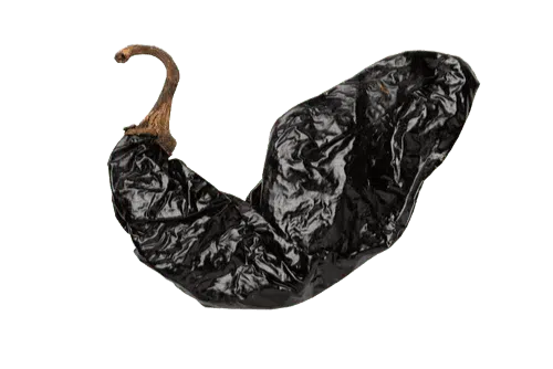 Pasilla Pepper