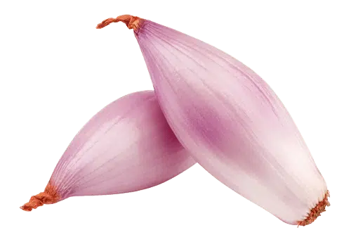 Shallots