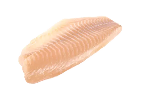 Tilapia