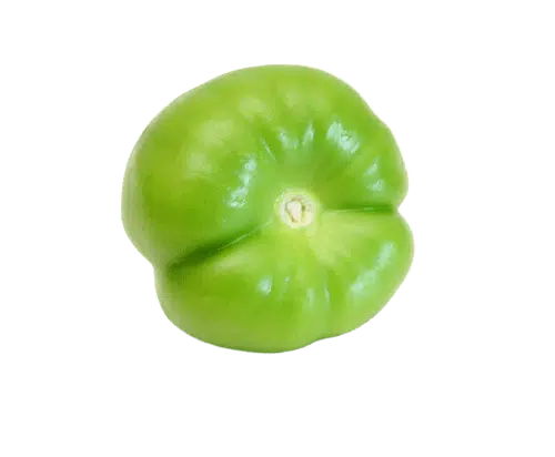 Tomatillo