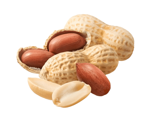 Peanut