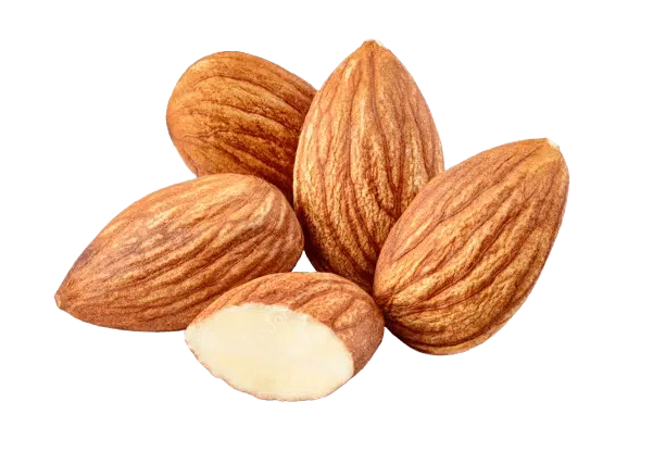 Slivered Almonds