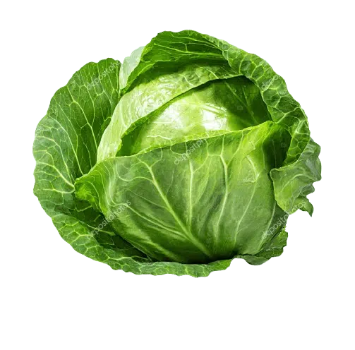 Cabbage