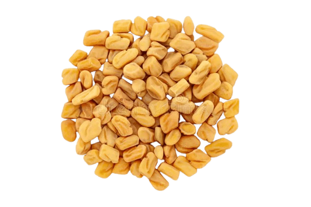 Fenugreek