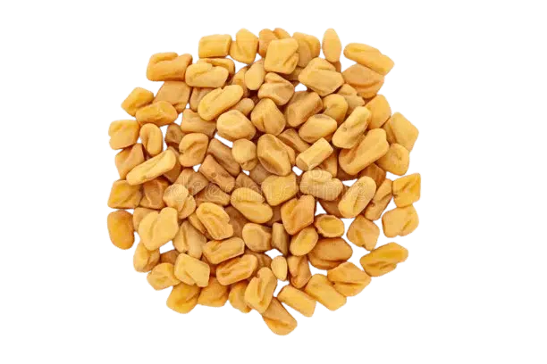 Fenugreek