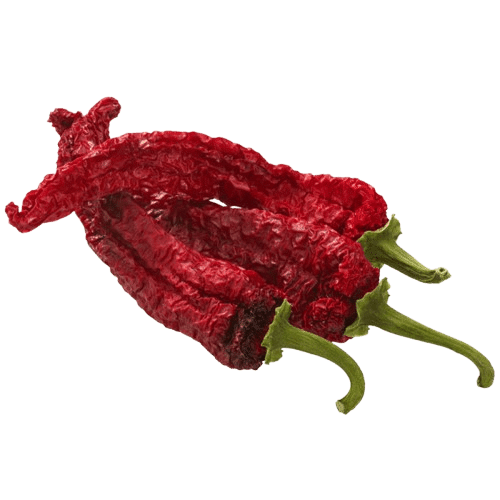 Kashmiri Chili