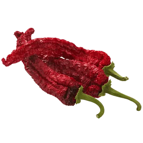 Kashmiri Chili