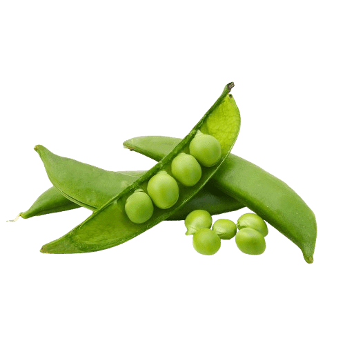Snap Peas