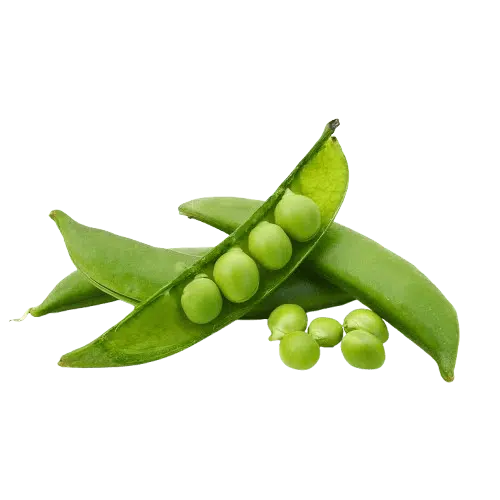 Snap Peas