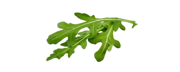 Arugula