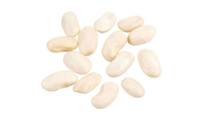 Cannellini Bean