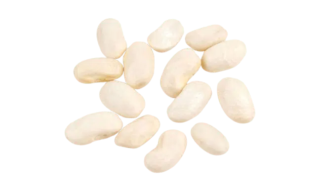 Cannellini Bean