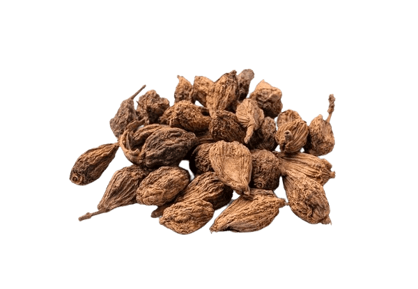 Cardamon