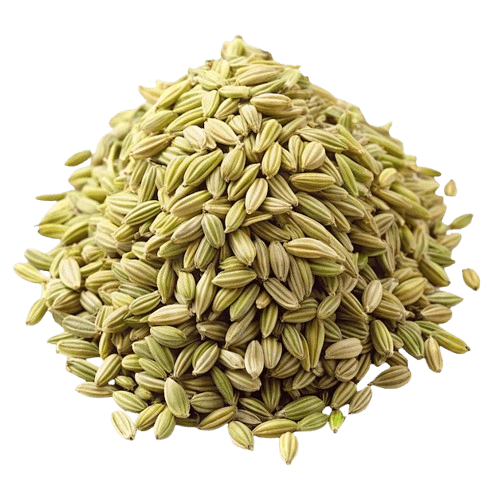 Fennel Seed