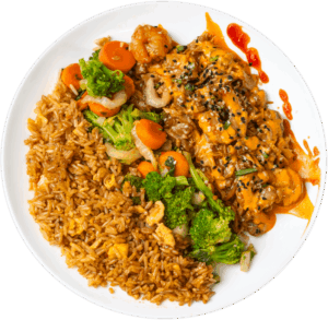 Chicken and Shrimp Hibachi