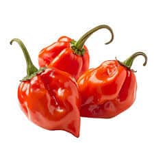 Habanero