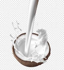 Coconut Cream