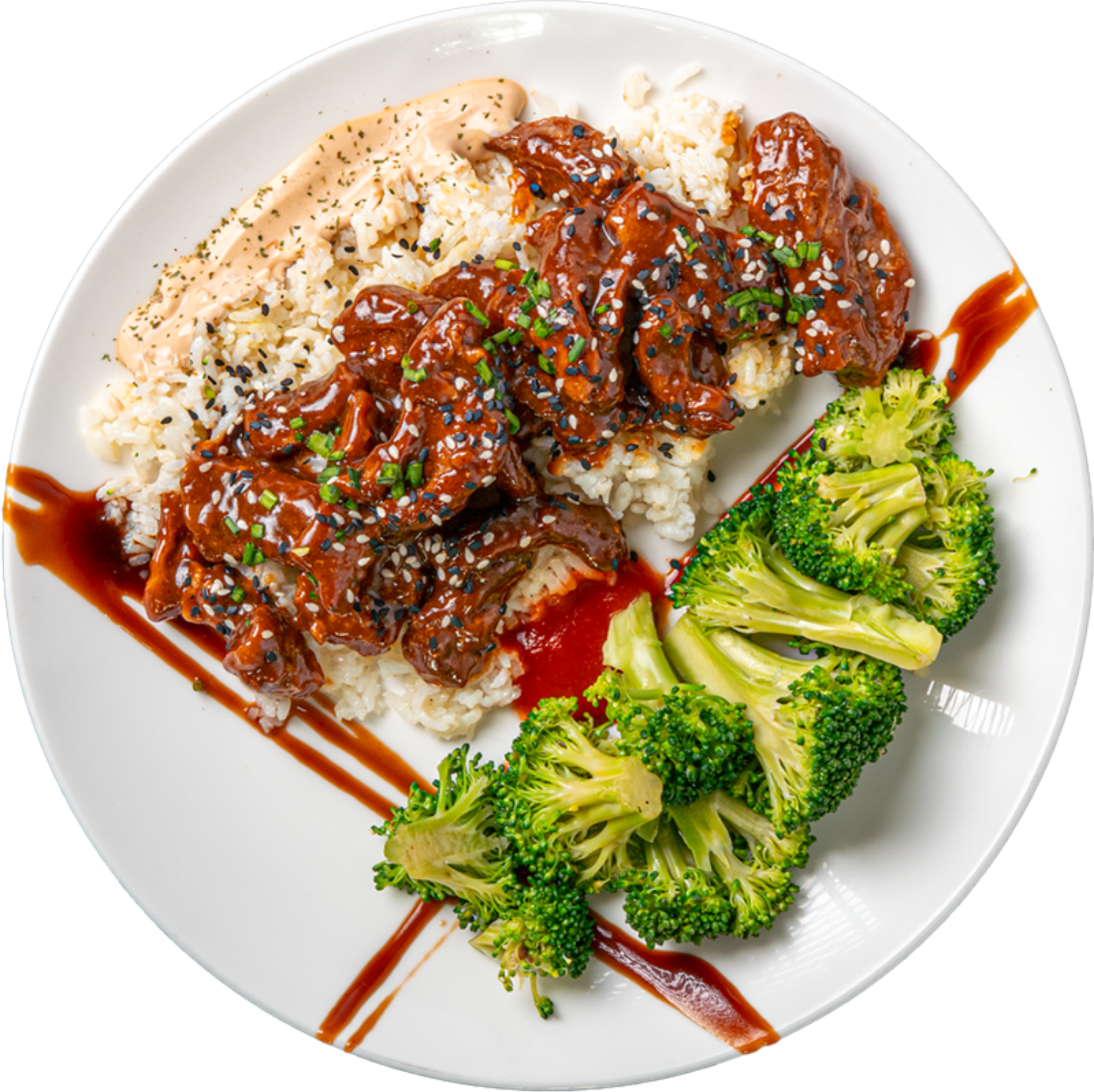 Teriyaki Steak