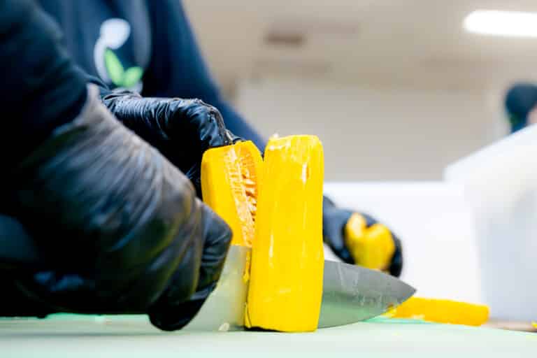 Fresh vegan-friendly ingredients