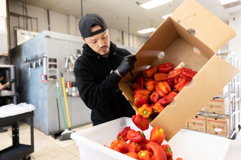 Fresh and organic ingredients that are high in nutritional value.